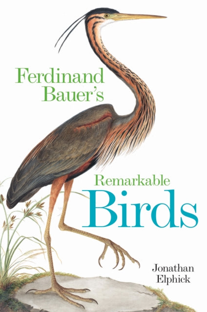 Ferdinand Bauers Remarkable Birds