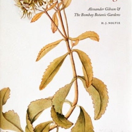 The Dapuri Drawings: Alexander Gibson & the Bombay Botanic Gardens