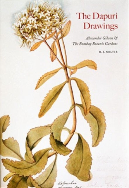 The Dapuri Drawings: Alexander Gibson & the Bombay Botanic Gardens