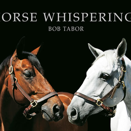 Horse Whisperings: Portraits by Bob Tabor