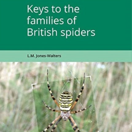 Keys to the Families of British Spiders