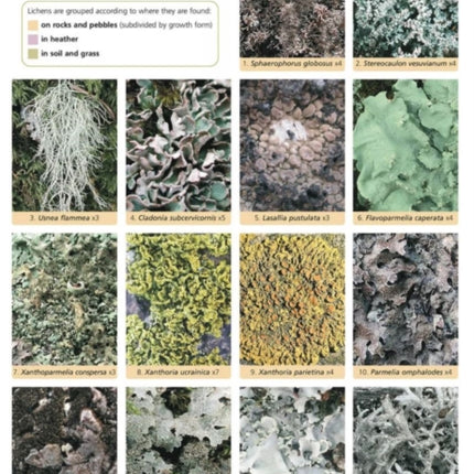 Guide to Lichens of Heaths and Moors