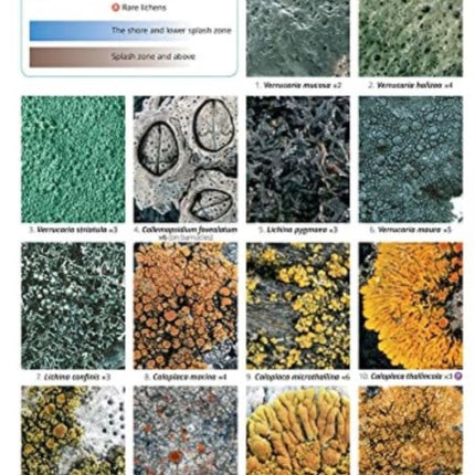 Guide to Rocky Shore Lichens