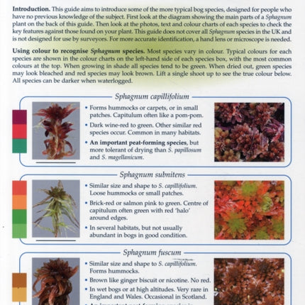 Field Guide to Sphagnum Mosses in Bogs