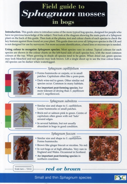 Field Guide to Sphagnum Mosses in Bogs