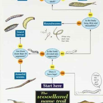 The woodland name trail: A key to the invertebrates of soil and leaf litter: 1994