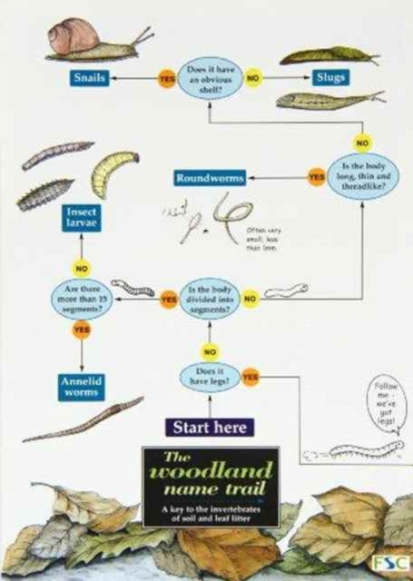 The woodland name trail: A key to the invertebrates of soil and leaf litter: 1994