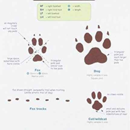 A Guide to British Mammal Tracks and Signs