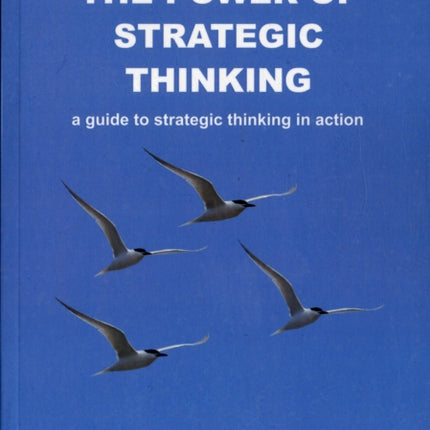 The Power of Strategic Thinking: A Guide to Strategy in Action