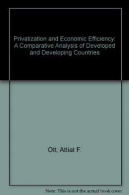 PRIVATIZATION AND ECONOMIC EFFICIENCY: A Comparative Analysis of Developed and Developing Countries