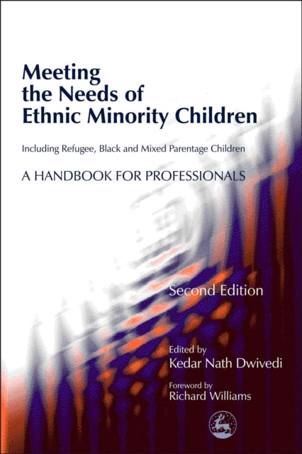 Meeting the Needs of Ethnic Minority Children - Including Refugee, Black and Mixed Parentage Children: A Handbook for Professionals