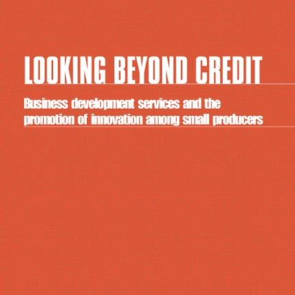 Looking Beyond Credit: Business development