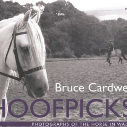 Hoofpicks: Photographs of the Horse in Wales