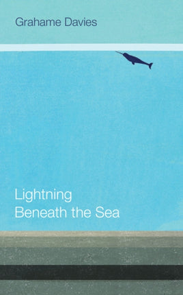 Lightning Beneath the Sea