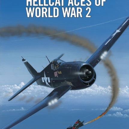 Hellcat Aces of World War 2