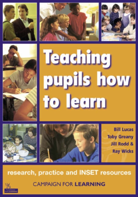 Teaching pupils how to learn: research, practice and INSET resources