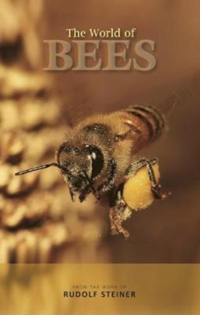 The World of Bees