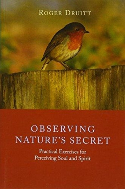 Observing Nature's Secret: Practical Exercises for Perceiving Soul and Spirit