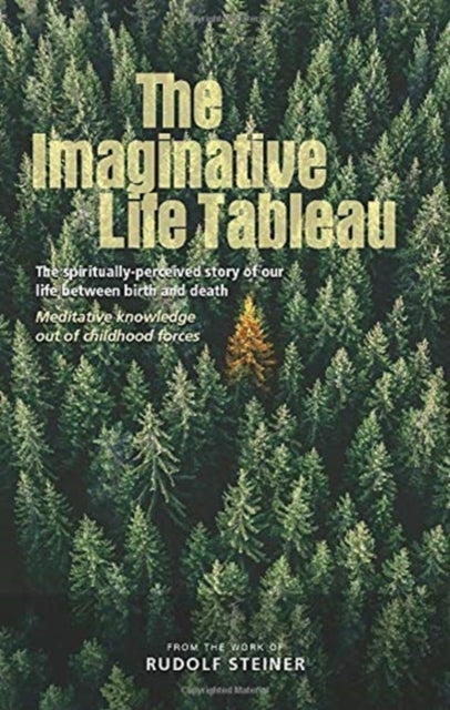 The Imaginative Life Tableau: The spiritually-perceived story of our life between birth and death. Meditative knowledge out of childhood forces