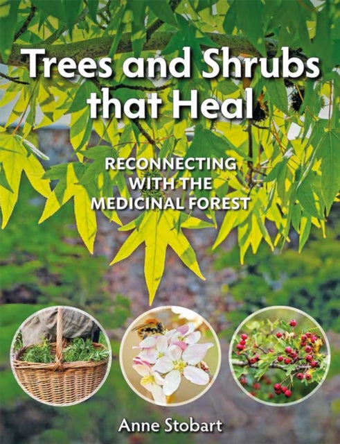 Trees and Shrubs that Heal: Reconnecting With The Medicinal Forest