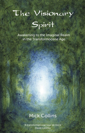 The Visionary Spirit: Awakening to the Imaginal Realm in the Transformocene Age