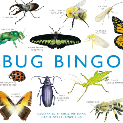 Bug Bingo