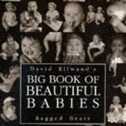 Big Book of Beautiful Babies