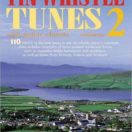 110 Irelands Best Tin Whistle Tunes Volume 2