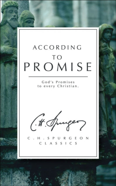 According to Promise: God’s Promises to Every Christian