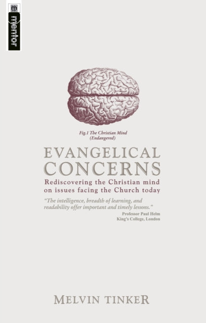 Evangelical Concerns: Rediscovering the Christian