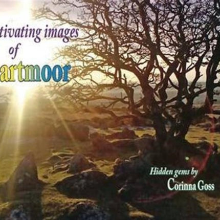 Captivating Images of Dartmoor