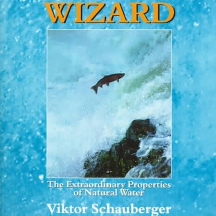 The Water Wizard: The Extraordinary Properties of Natural Water