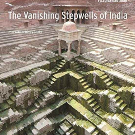 Vanishing Stepwells of India