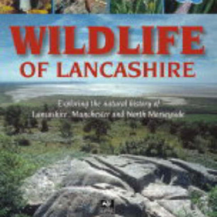 Wildlife of Lancashire: Exploring the Natural History of Lancashire, Manchester and North Merseyside