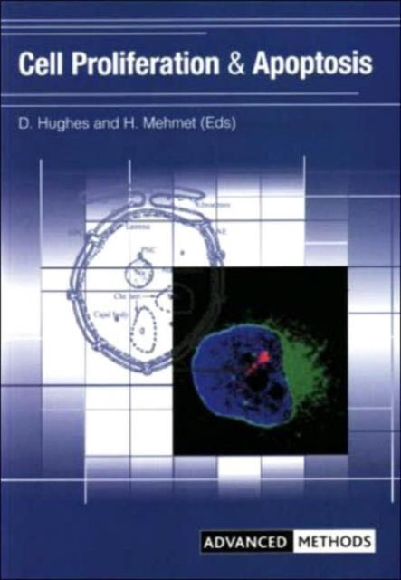 Cell Proliferation and Apoptosis