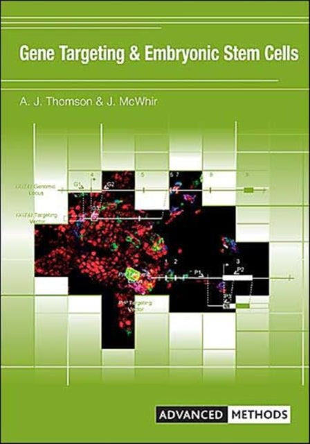 Gene Targeting and Embryonic Stem Cells