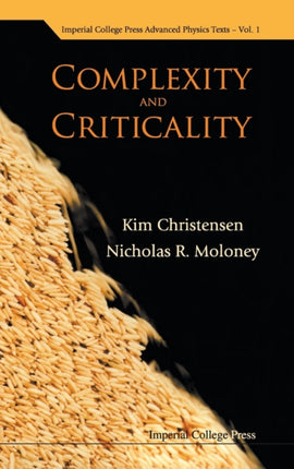 Complexity And Criticality