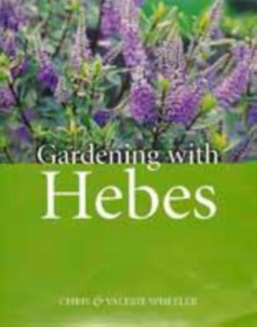 Gardening with Hebes