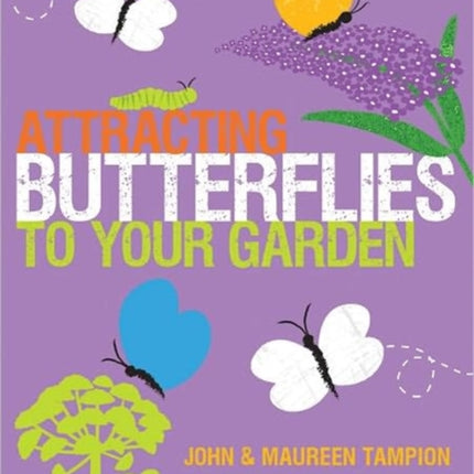 Attracting Butterflies to Your Garden