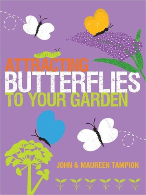 Attracting Butterflies to Your Garden