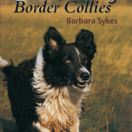 Understanding Border Collies