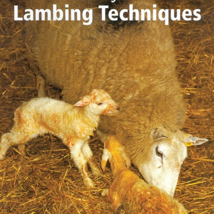 A Manual of Lambing Techniques