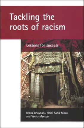 Tackling the roots of racism: Lessons for success