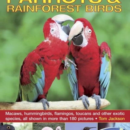 Exploring Nature: Parrots & Rainforest Birds