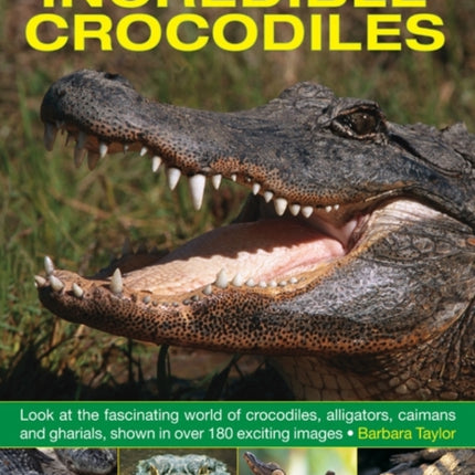 Exploring Nature: Incredible Crocodiles