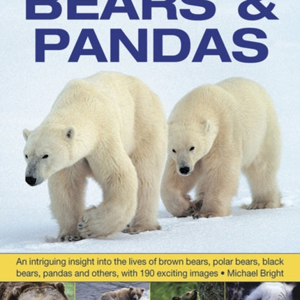 Exploring Nature: Bears & Pandas: An Intriguing Insight into the Lives of Brown Bears, Polar Bears, Black Bears, Pandas and Others, with 190 Exciting Images