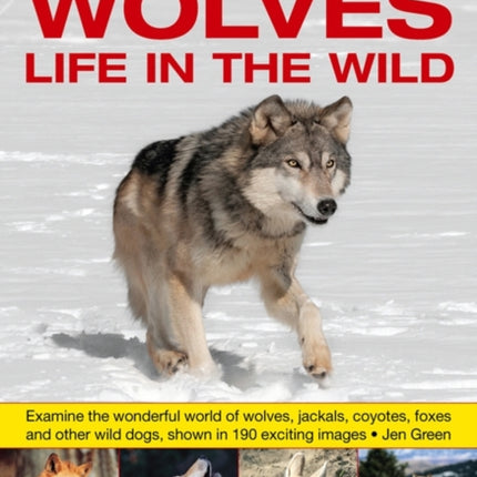 Exploring Nature: Wolves - Life in the Wild: Examine the Wonderful World of Wolves, Jackals, Coyotes, Foxes and Other Wild Dogs, Shown in 190 Exciting Images