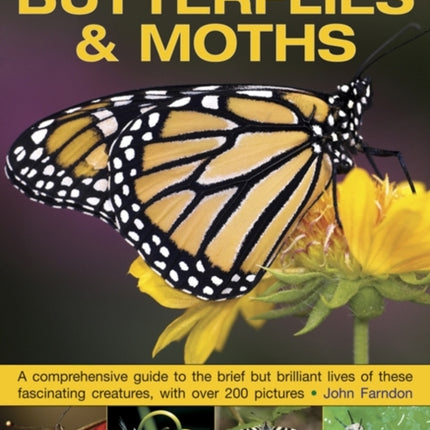 Exploring Nature: Butterflies & Moths