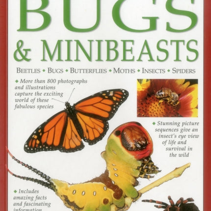 Illustrated Wildlife Encyclopedia: Bugs & Minibeasts