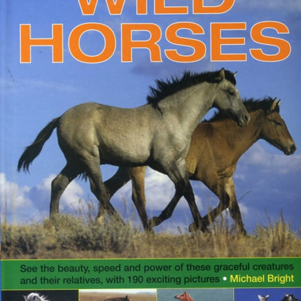 Exploring Nature: Wild Horses